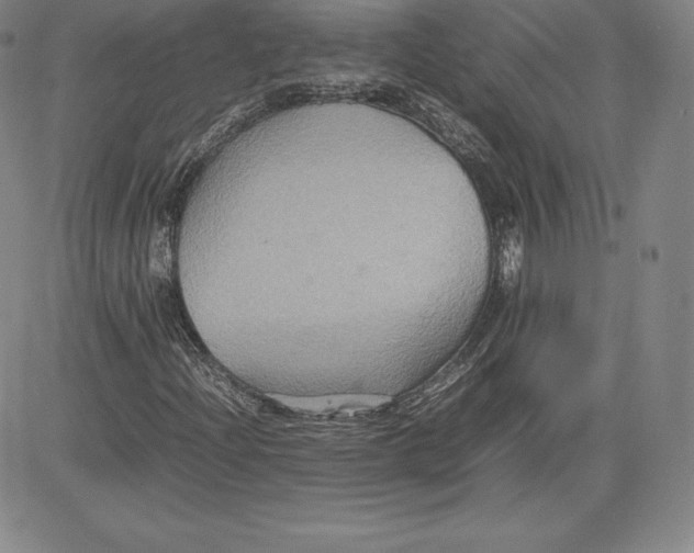 X0000080661204200612301327