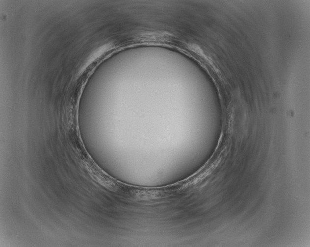 X0000080661211200612301327