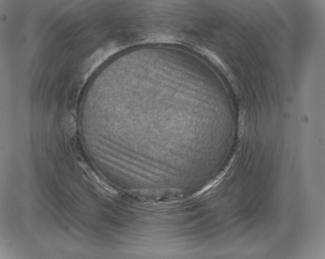X0000080661212200612301327