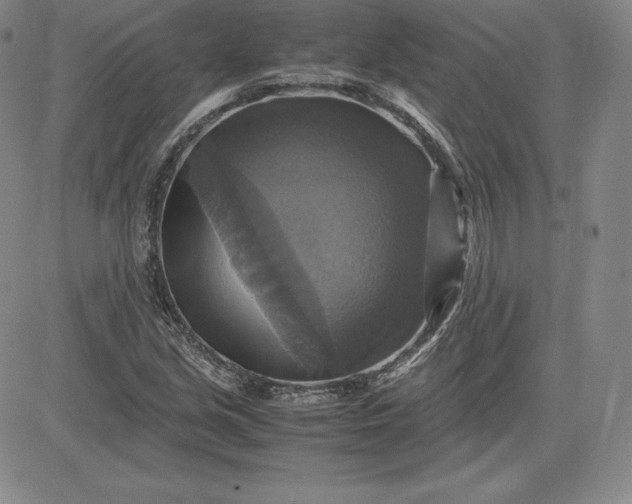 X0000080661213200612301327