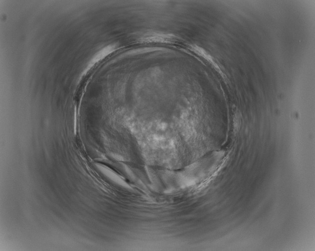 X0000080661219200612301327