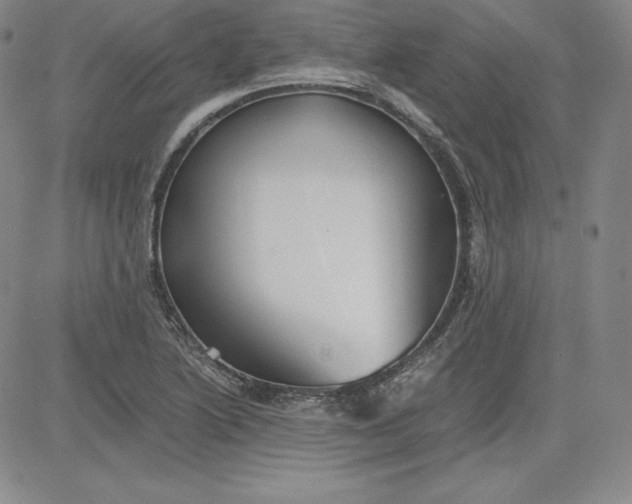 X0000080661222200612301327