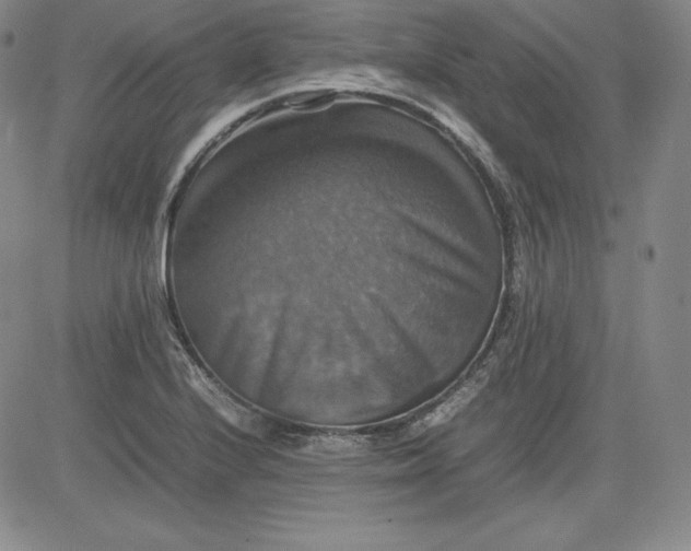 X0000080661224200612301327