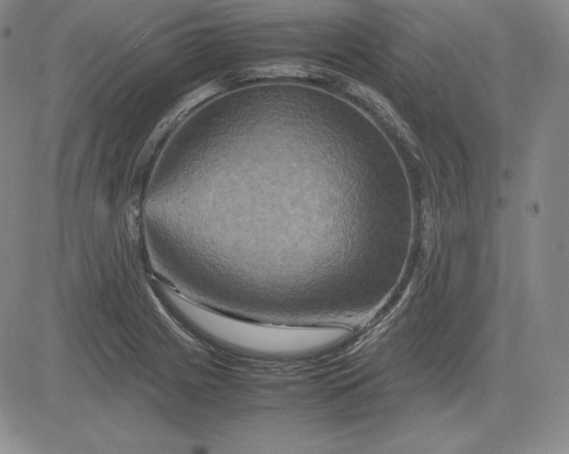 X0000080661225200612301327