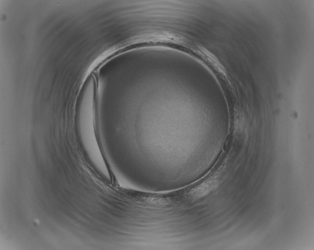 X0000080661226200612301327