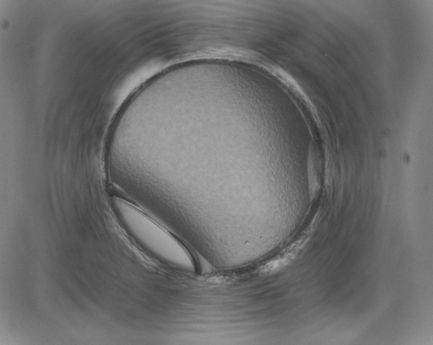 X0000080661230200612301327
