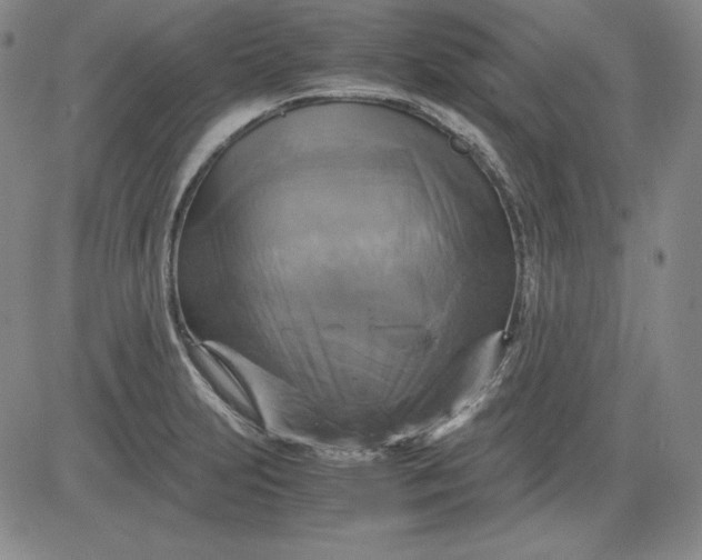 X0000080661231200612301327