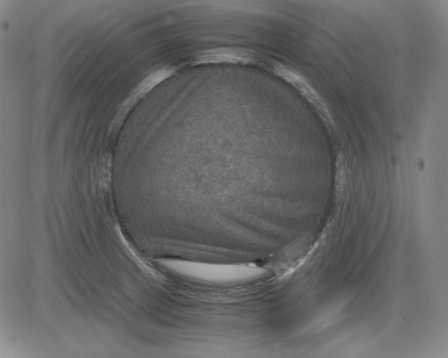 X0000080661233200612301327