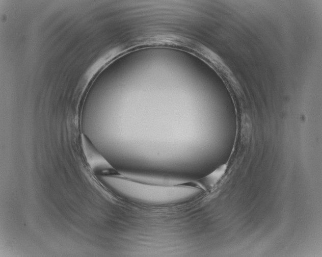 X0000080661234200612301327