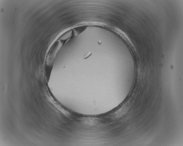 X0000080661236200612301327