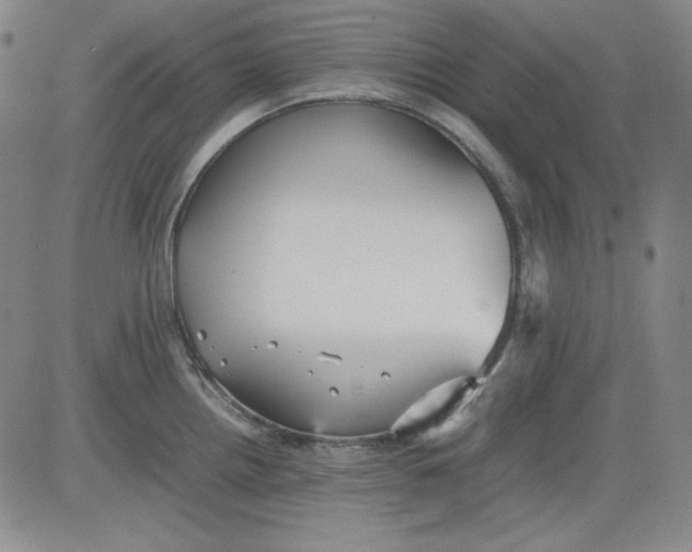 X0000080661242200612301327
