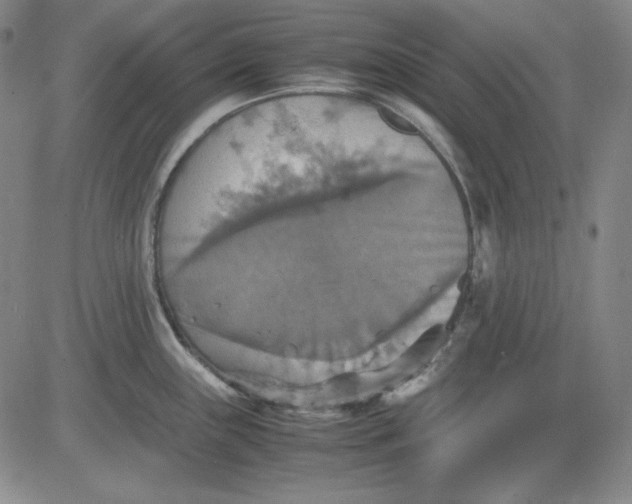 X0000080661243200612301327