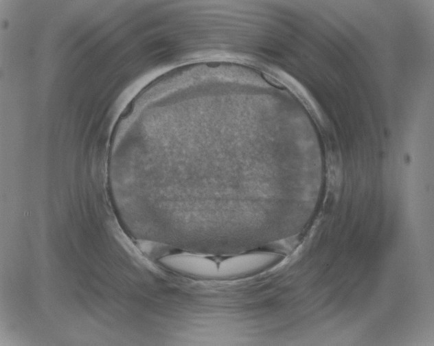 X0000080661244200612301327