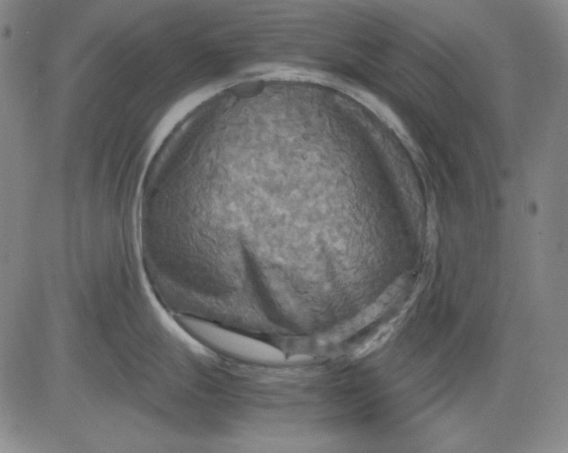 X0000080661247200612301327