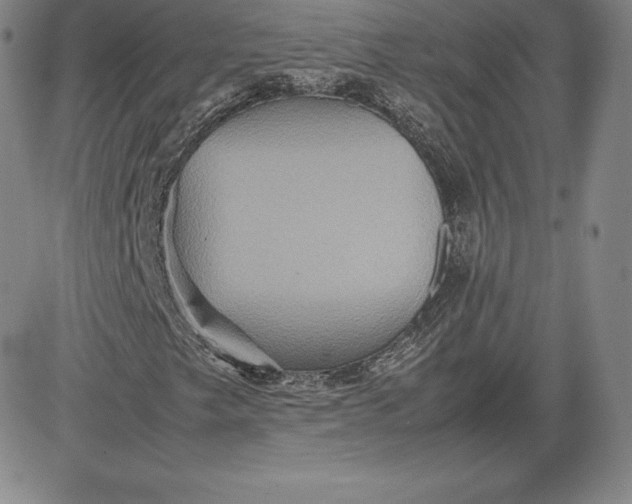 X0000080661249200612301327