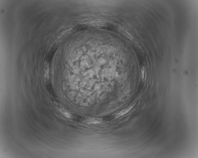 X0000080661251200612301327