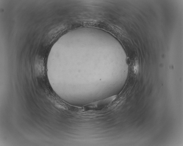 X0000080661252200612301327