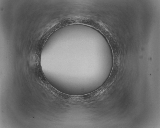 X0000080661253200612301327
