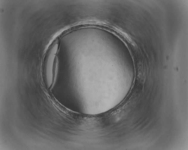 X0000080661264200612301326