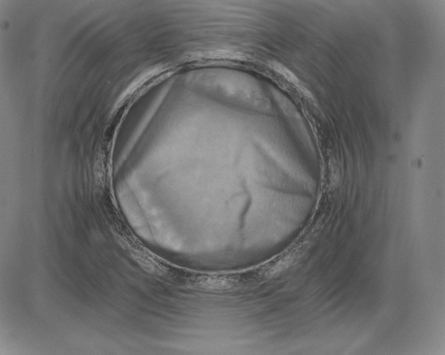 X0000080661266200612301326