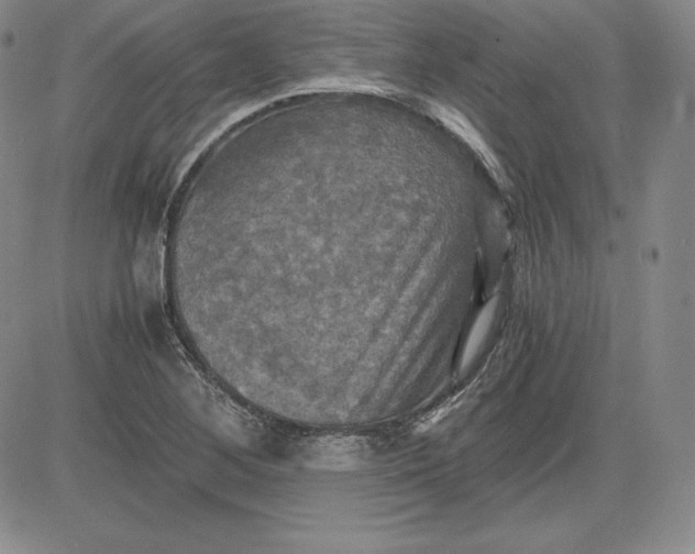 X0000080661268200612301326