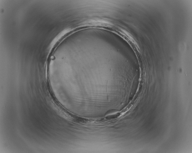 X0000080661275200612301326