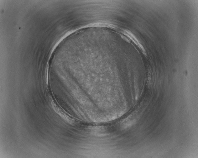 X0000080661276200612301326