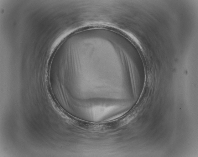 X0000080661279200612301326