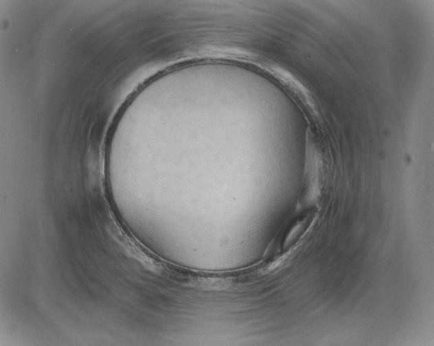 X0000080661280200612301326