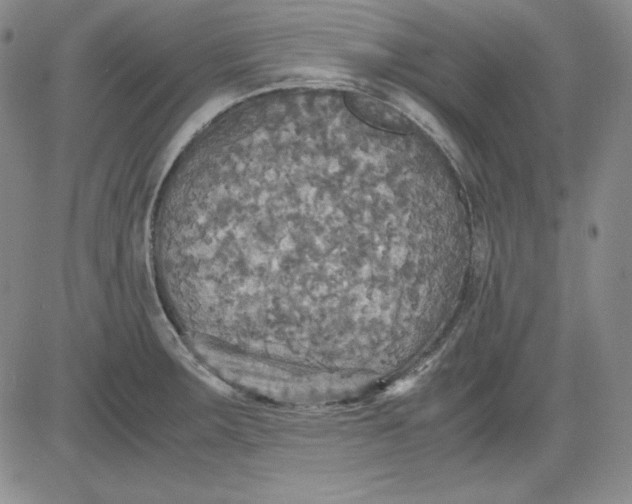 X0000080661283200612301326