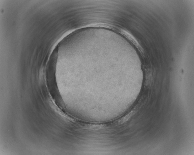 X0000080661284200612301326