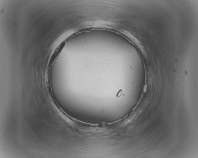 X0000080661285200612301326