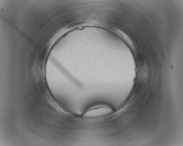 X0000080661292200612301326