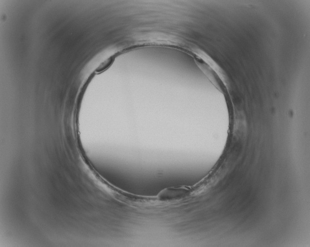X0000080661293200612301326