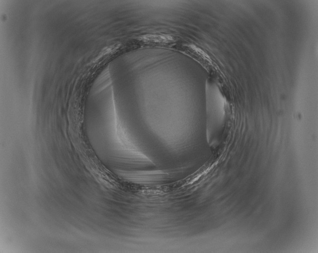 X0000080661297200612301325