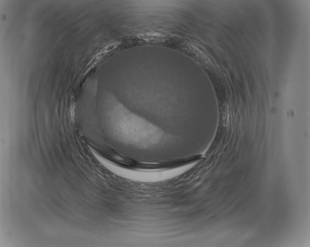 X0000080661298200612301325