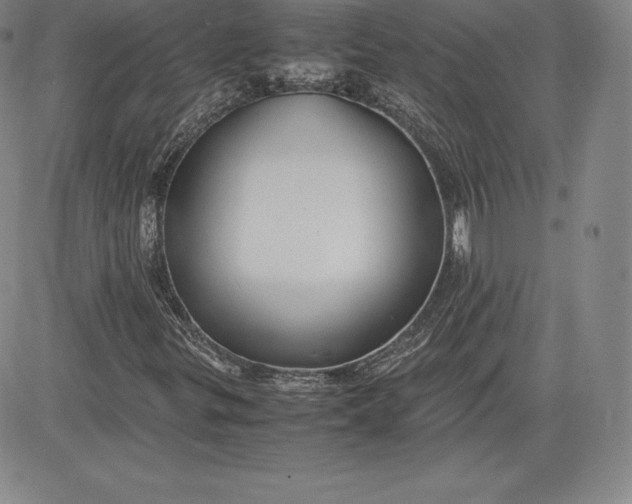 X0000080661299200612301325