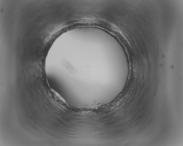 X0000080661304200612301325