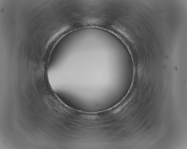 X0000080661309200612301325
