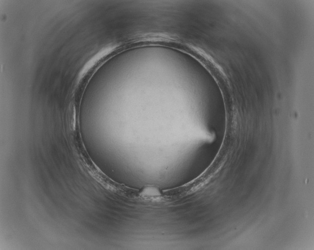 X0000080661317200612301325