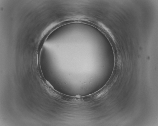 X0000080661320200612301325