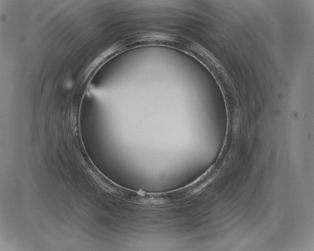 X0000080661321200612301325