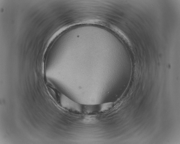 X0000080661324200612301325