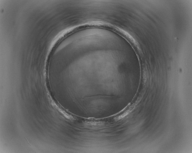 X0000080661327200612301326