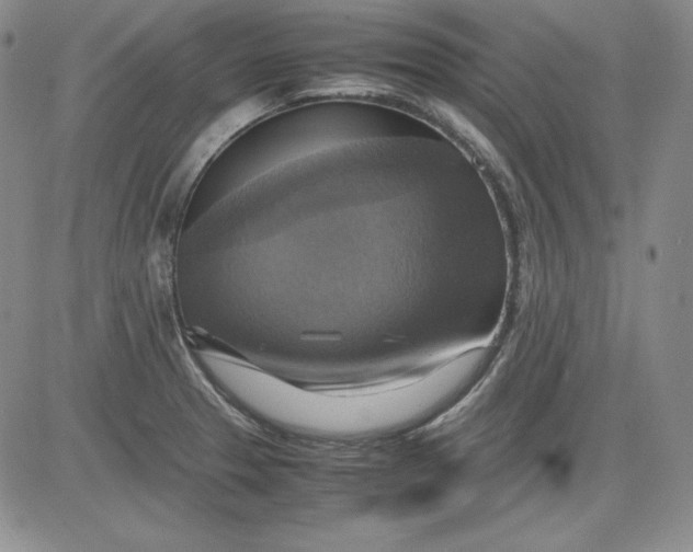 X0000080661329200612301326