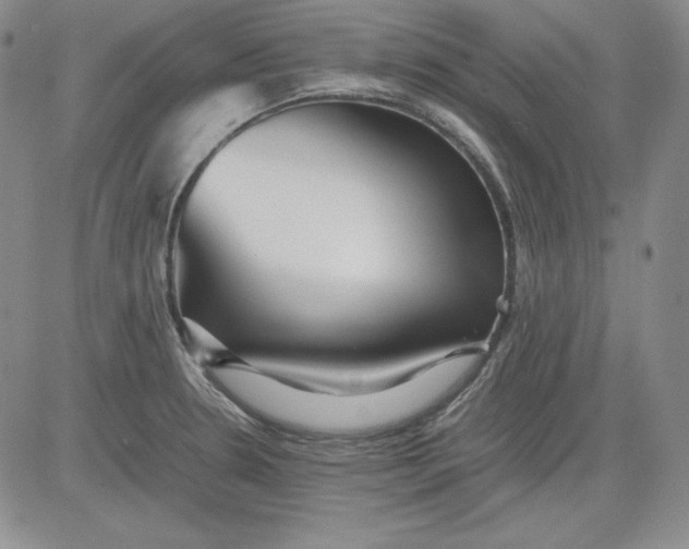 X0000080661330200612301326