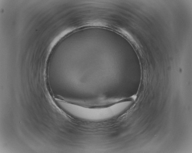X0000080661331200612301326