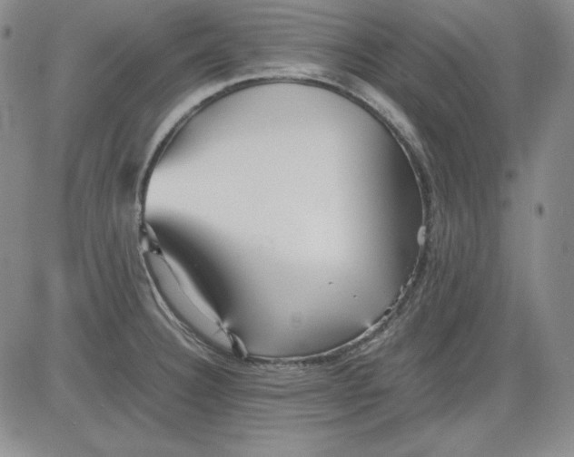 X0000080661332200612301326