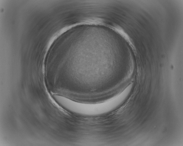 X0000080661335200612301326