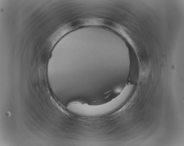 X0000080661337200612301326